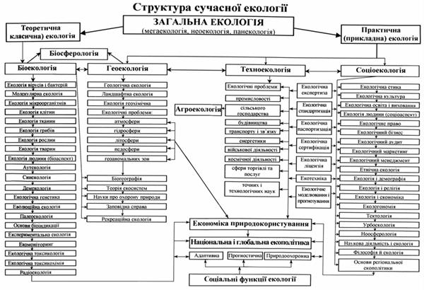 Реферат: Предмет і значення дисципліни Основи екології Наукові основи раціонального природокористування